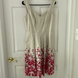 WHBM Floral Print Dress ⭐️ Like New ⭐️